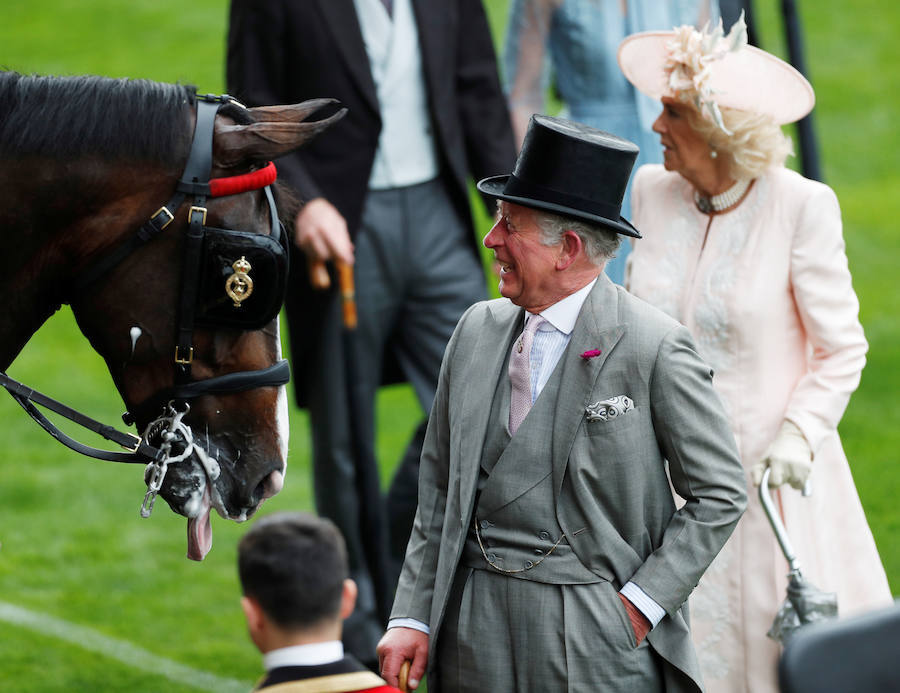 Un año más, el condado de Berkshire acoge las tradicionales carreras de caballos de purasangre Royal Ascot. A la cita (del 18 al 22 de junio) acude la Familia Real Británica y un sinfín de invitados ataviados con los sombreros, pamelas y tocados más estravagantes.