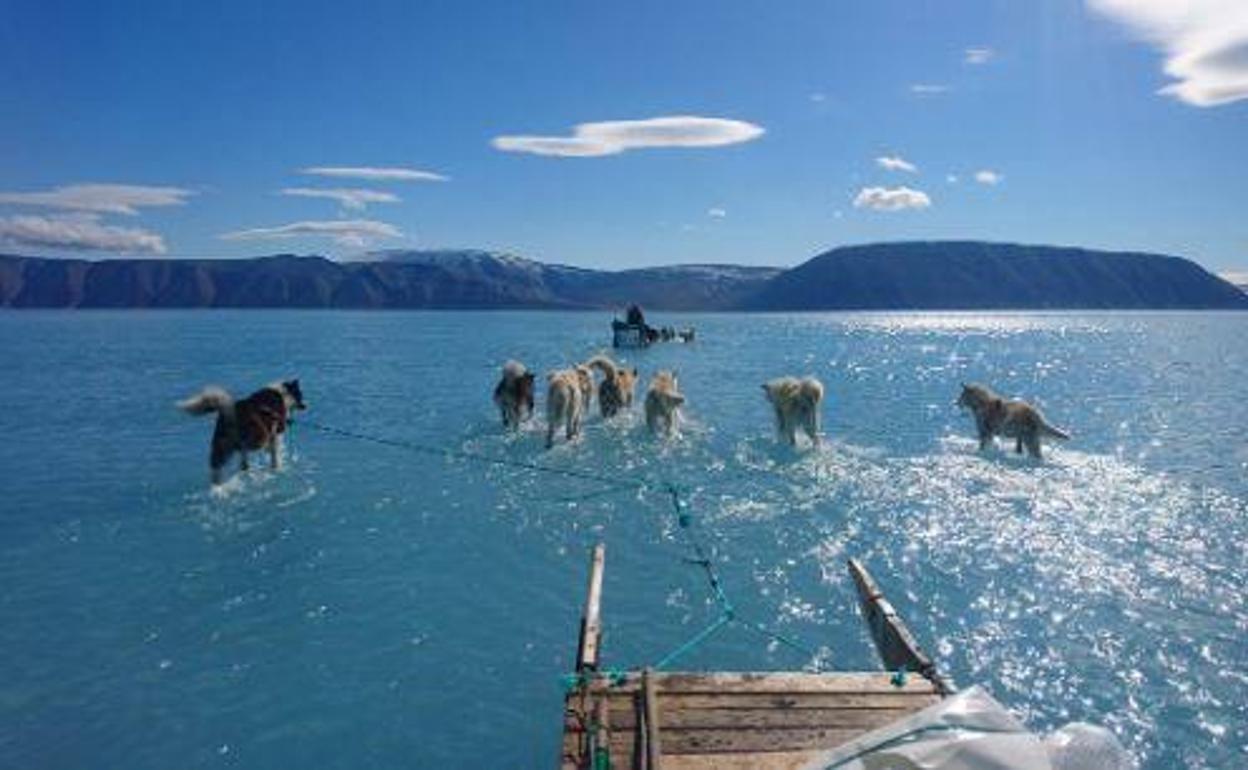 La asombrosa foto que alerta sobre la situación del deshielo en Groenlandia