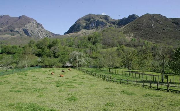 Vistas desde el comienzo de la ruta.