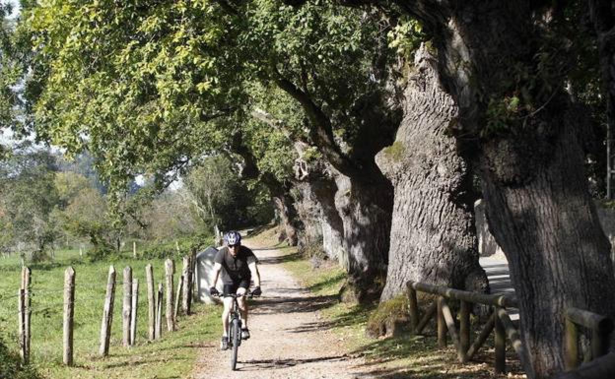 Un ciclista en la senda a su paso por Deva.