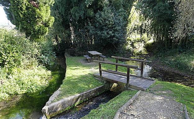 Un rincón en la senda peatonal del río Peñafrancia, en la zona del Trole, en Cabueñes.