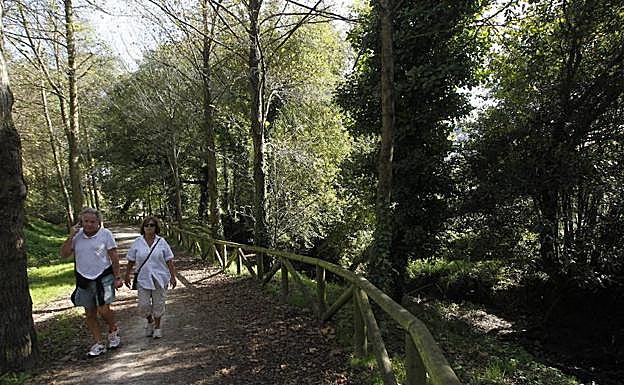 Una pareja, en un tramo de bosque de ribera de la senda del Penafrancia.