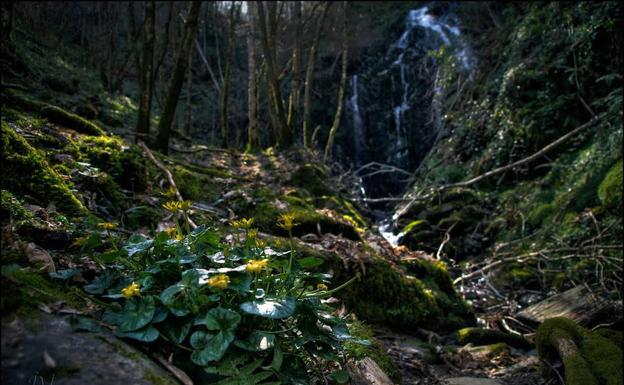 Cascada Salgueira.