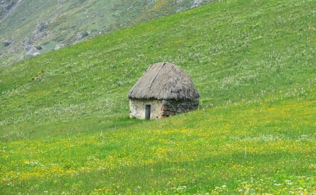 Una cabaña de teito, construcción típica, en el Valle del Lago.