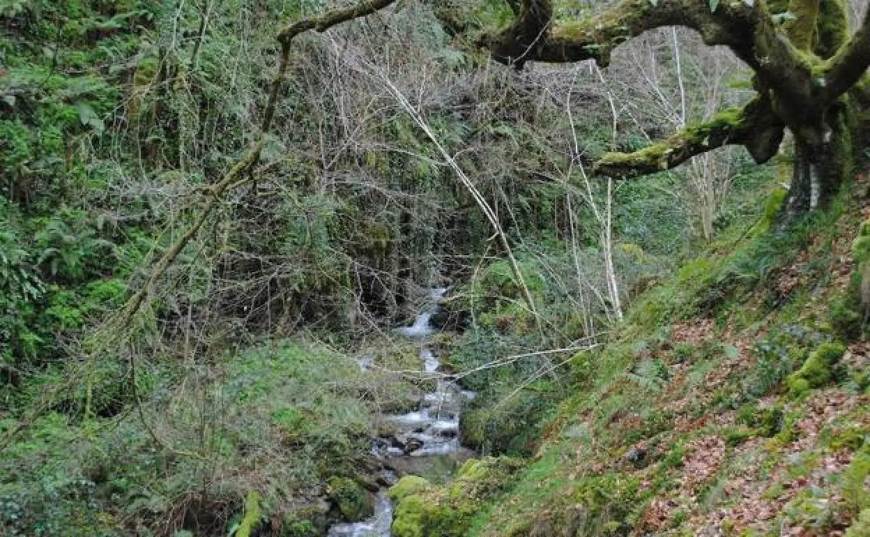 Foces del río Pendón