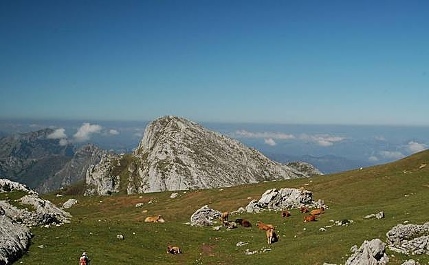 Subiendo a la cumbre del Canto Cabronero.Desde Calapozo vista hacia NO. Pico Valdepino 1745 m.