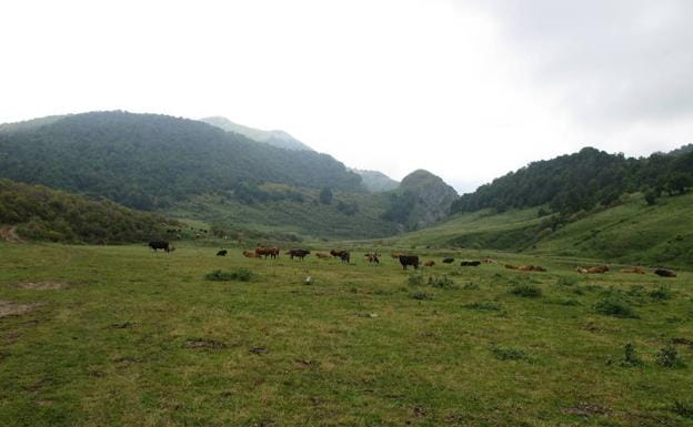 El Valle de Valdosín, en el camino hacia Peña Ten.