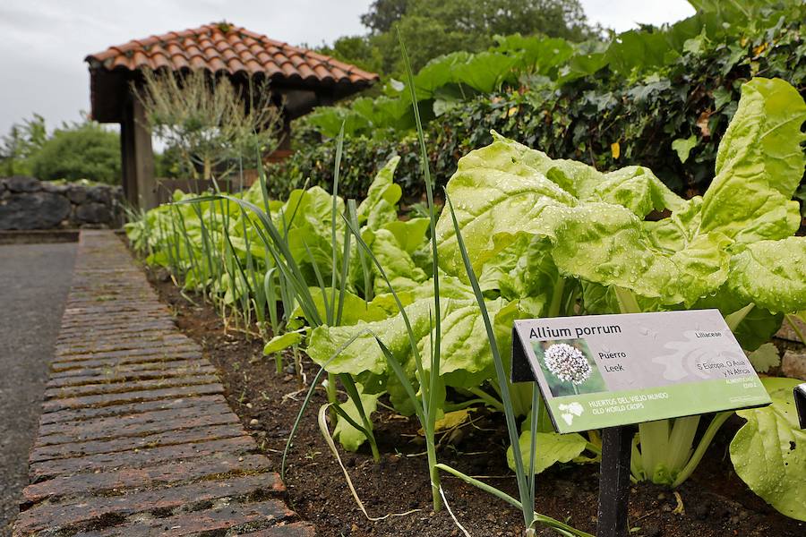 El Botánico dedica el Solsticio de Verano a 'La Cosecha' con un completo programa de actividades