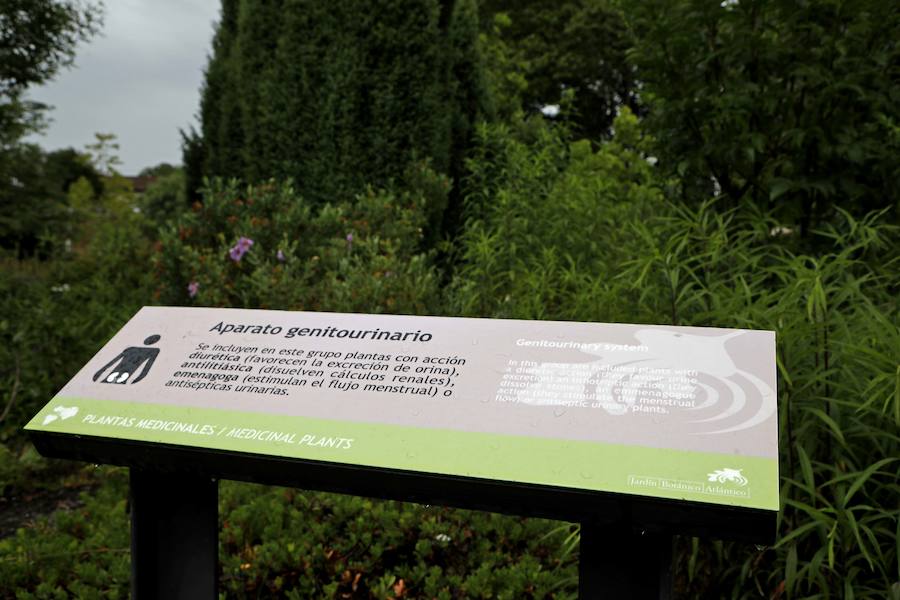 El Botánico dedica el Solsticio de Verano a 'La Cosecha' con un completo programa de actividades