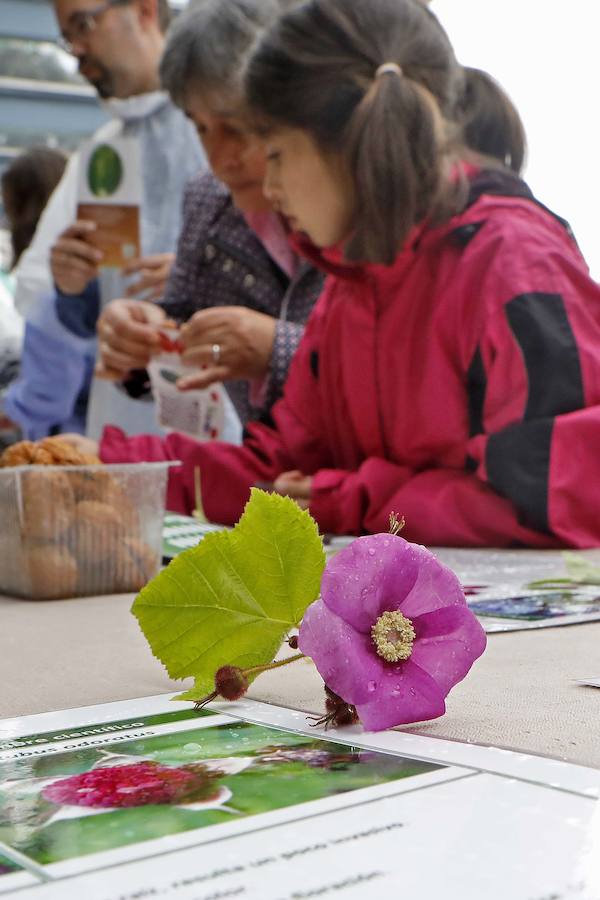 El Botánico dedica el Solsticio de Verano a 'La Cosecha' con un completo programa de actividades