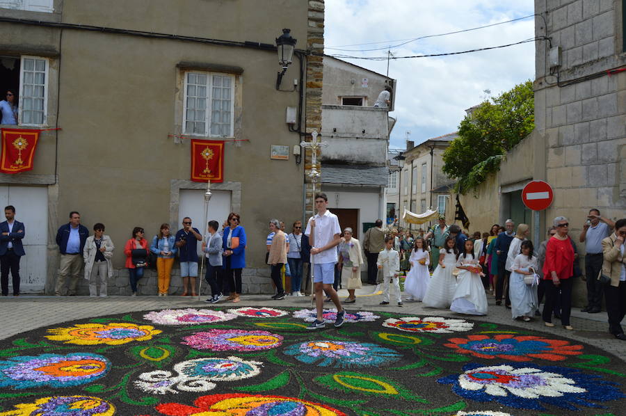Castropol celebra su fiesta del Corpus Christi con sus tradicionales alfombras florales. El tiempo concedió una tregua y cientos de visitantes y vecinos disfrutaron de 500 metros de alfombras hechas pétalo a pétalo. 