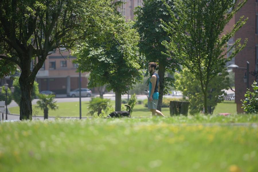 La región alcanzará los 28 grados en una jornada en la que 23 provincias españolas están en riesgo por altas temperaturas de hasta 39.