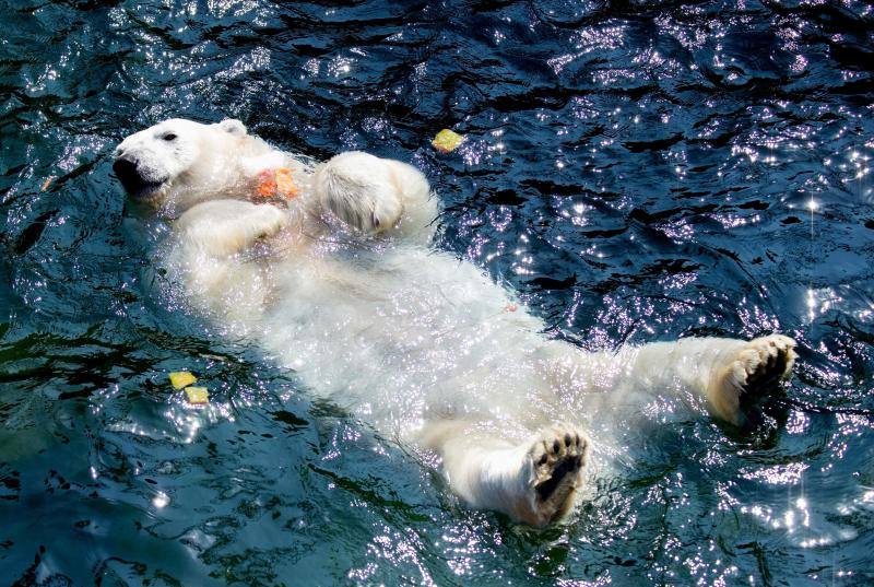 Fotos: Mil maneras de combatir el calor