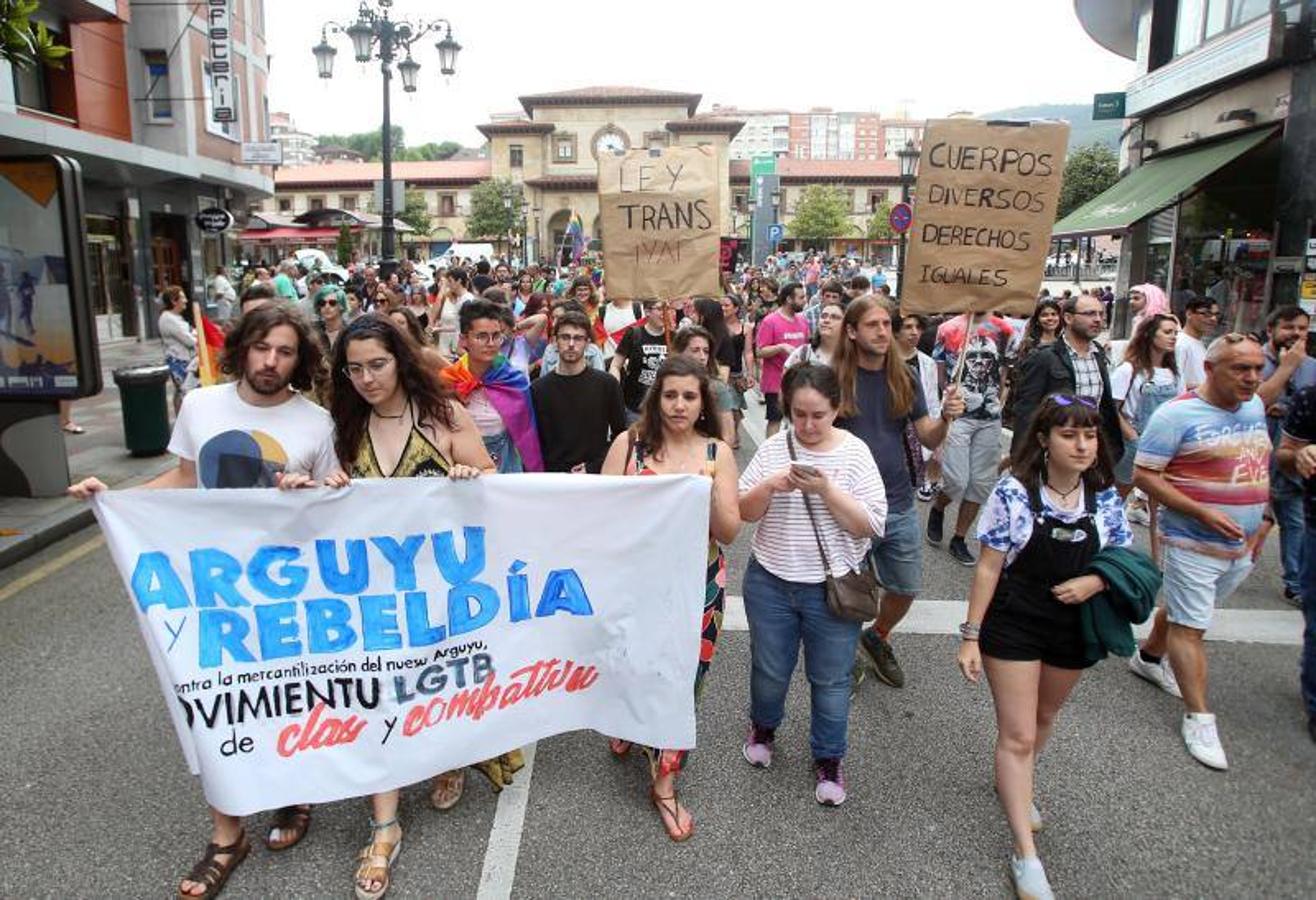 Cientos de personas participaron ayer en los distintos actos celebrados en Asturias con motivo del Día del Orgullo Gay. En Oviedo reivindicaron en una marcha un 'Orgullo Crítico' y a favor de la diversidad sexual.