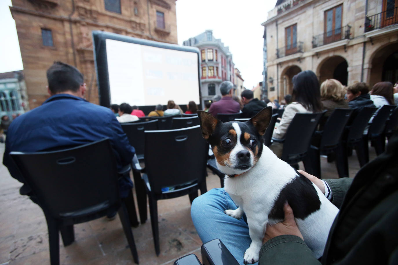 Hasta el 28 de agosto se proyectará veinte películas. Este martes arrancó el ciclo con 'Vacaciones en Roma' 