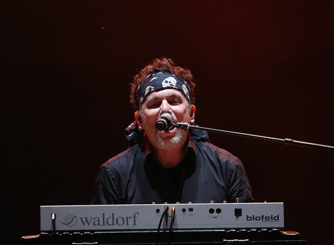  ¡Búscate en entre los asistentes al recital que tuvo como escenario el festival Metrópoli!