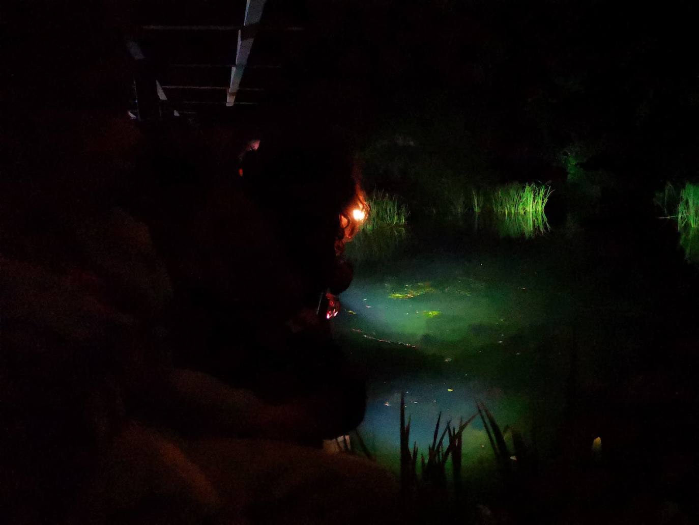 Medio centenar de personas, repartidas en quince tiendas de campaña, estrenaron este lunes una nueva edición de Aventura Nocturna, una actividad del Jardín Botánico que cumple ocho años.