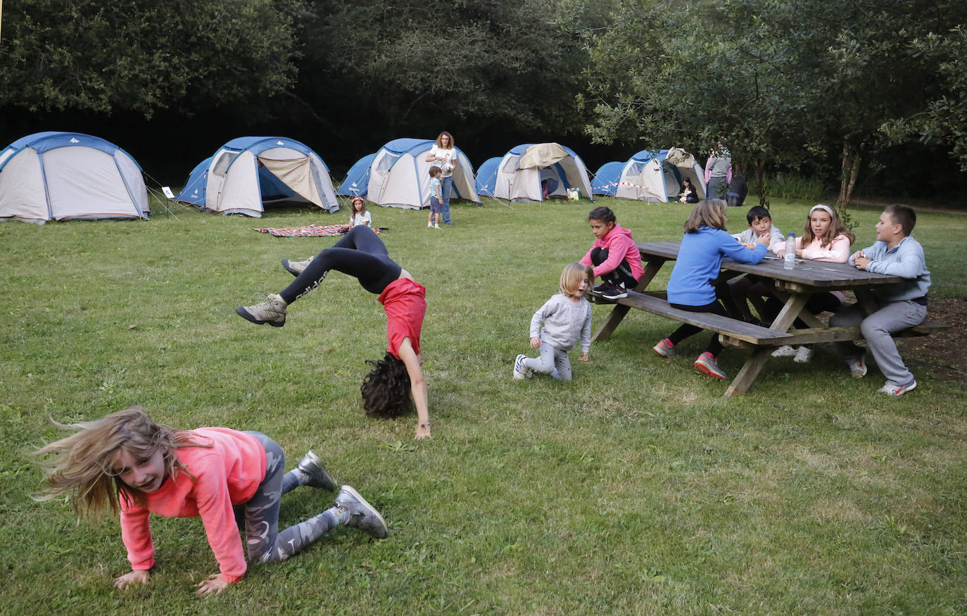 Medio centenar de personas, repartidas en quince tiendas de campaña, estrenaron este lunes una nueva edición de Aventura Nocturna, una actividad del Jardín Botánico que cumple ocho años.