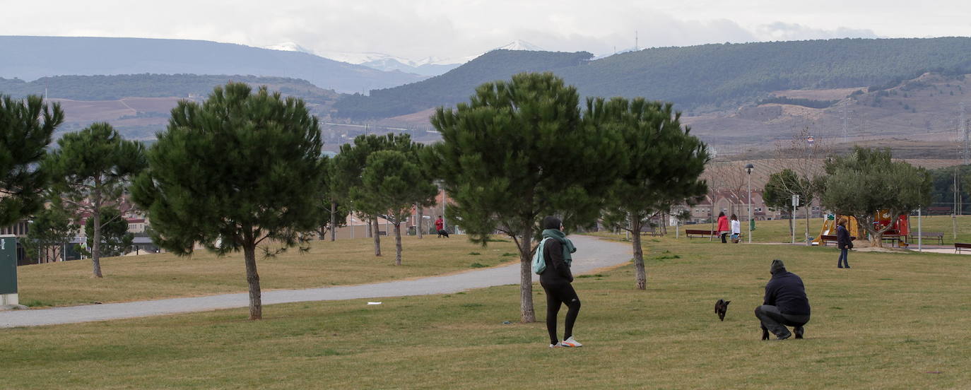 6. En un paseo por Logroño se pueden encontrar más de 200 especies de árboles. El parque más grande es el de la Ribera, que cuenta con un lago artificial, un mirador y es uno de los preferidos para la práctica de deporte. Tampoco hay que olvidarse del Parque de los Enamorados, que ofrece unas espectaculares vistas de la ciudad, y el Parque del Ebro, según el ranking de Holidu.