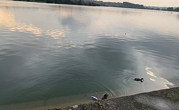 Zona del embalse en la que cayerons las niñas.