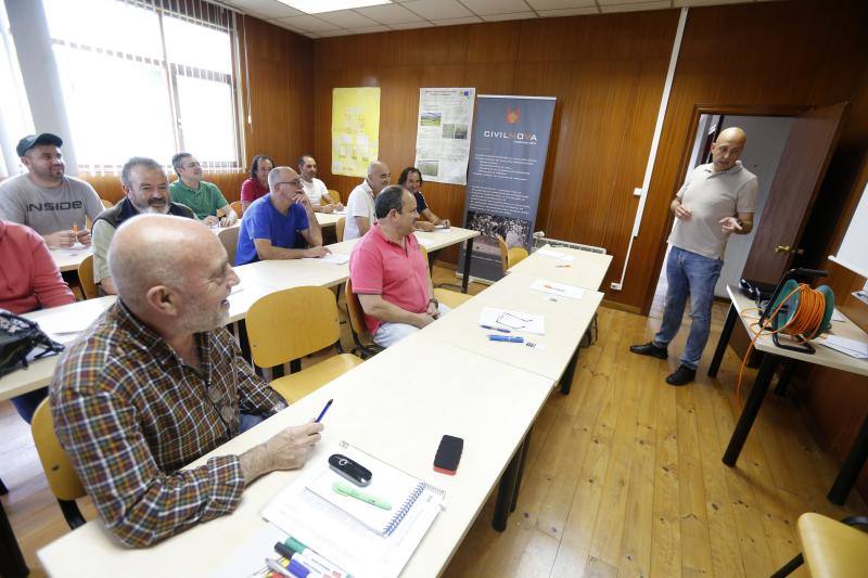 Asturias es la primera región en utilizar material pirotécnico para acabar con los nidos de las avispas. Este sistema permitirá eliminar por completo tanto la colonia como el nido y es menos dañino para el medio ambiente.