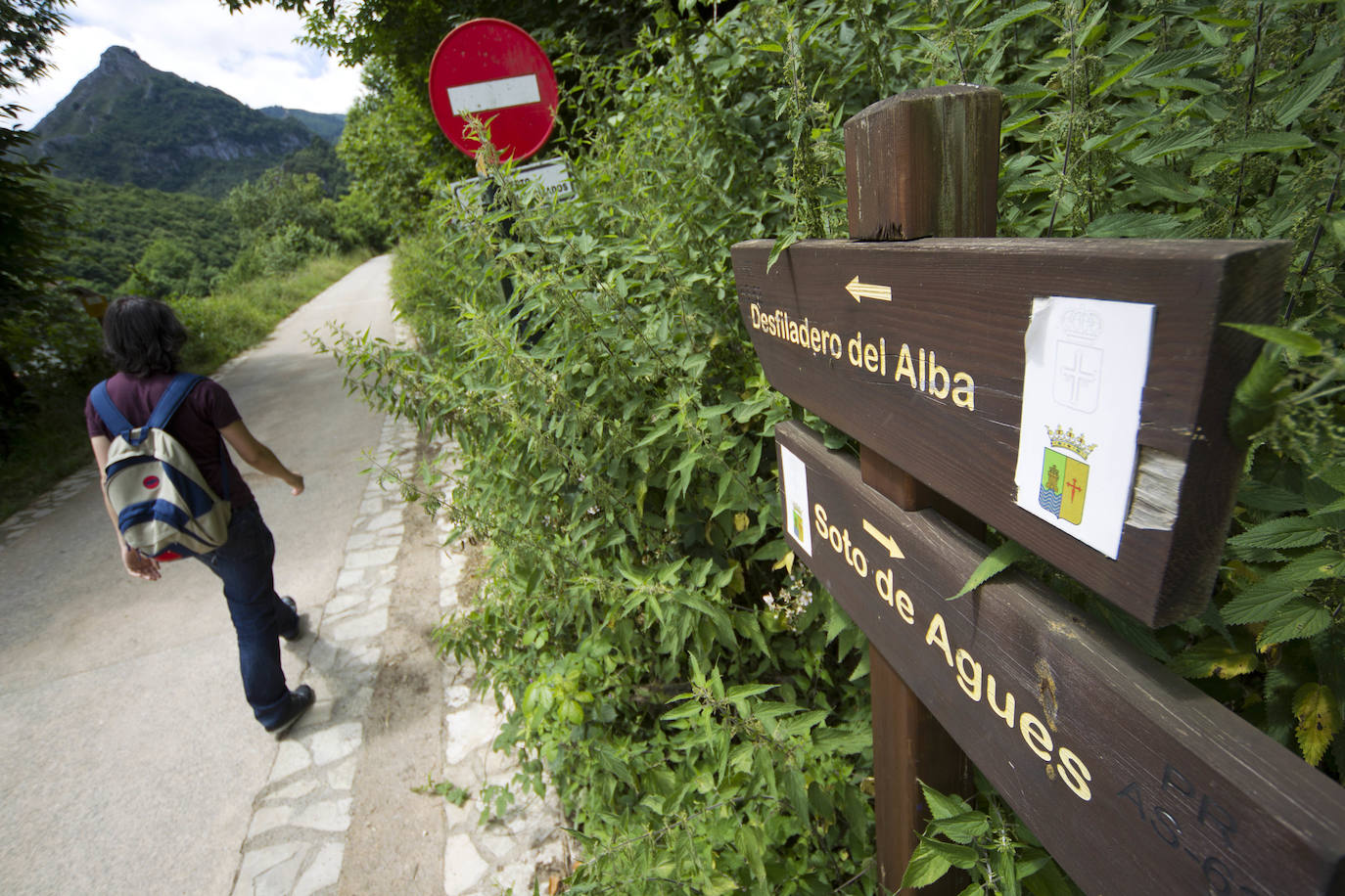 La Ruta del Alba es una de las más conocidas de Asturias. Declarada Monumento Natural, esta pista, principalmente ganadera, se encuentra en el fondo de un valle y discurre junto al río Alba o Llaímo. La ruta de 6,2 kilómetros, comienza en la localidad de Soto de Agues y está catalogada con un grado de dificultad baja, por lo que resulta ideal para ir con niños.