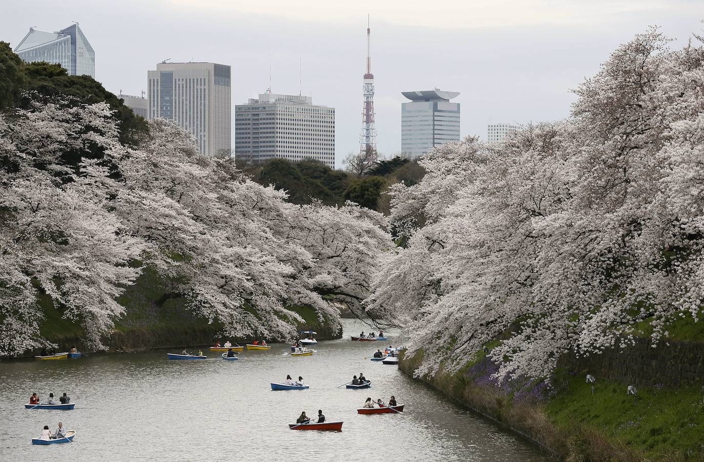 Japón: aunque es un país muy seguro en el que apenas hay criminalidad, Japón se encuentra expuesto de manera frecuente y a lo largo del año a diversos desastres naturales. La actividad sísmica y volcánica es muy elevada, aunque muchos de los seísmos no sean perceptibles. En ciertas épocas del año pueden darse fenómenos como tifones y tormentas tropicales que provocan, en ocasiones, inundaciones.