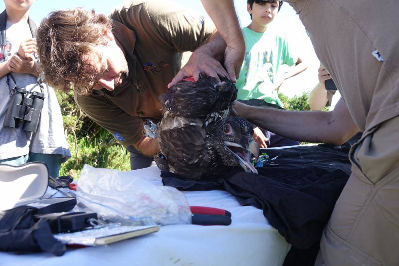 Fotos: &#039;Hugo&#039; ya vuela en los Picos