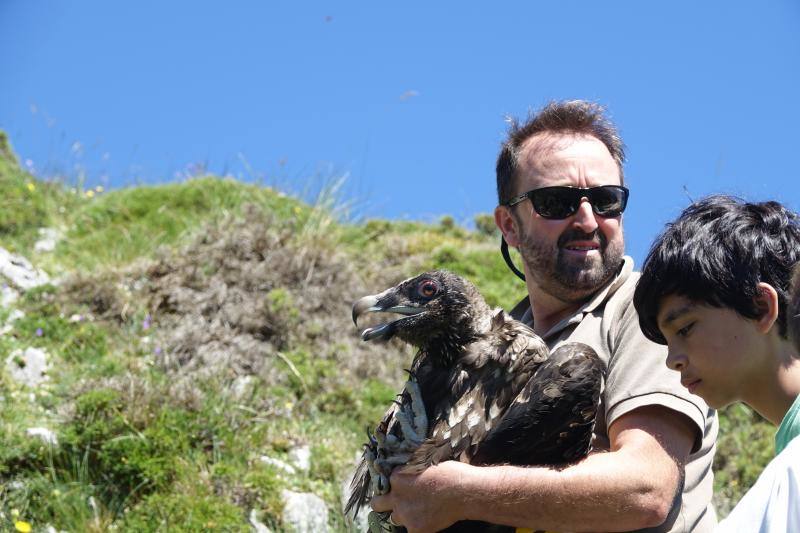 Fotos: &#039;Hugo&#039; ya vuela en los Picos