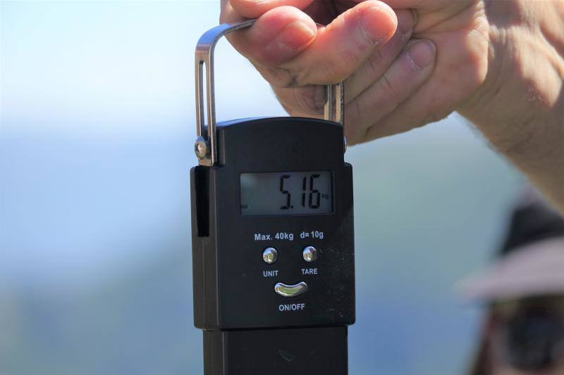 Fotos: &#039;Hugo&#039; ya vuela en los Picos