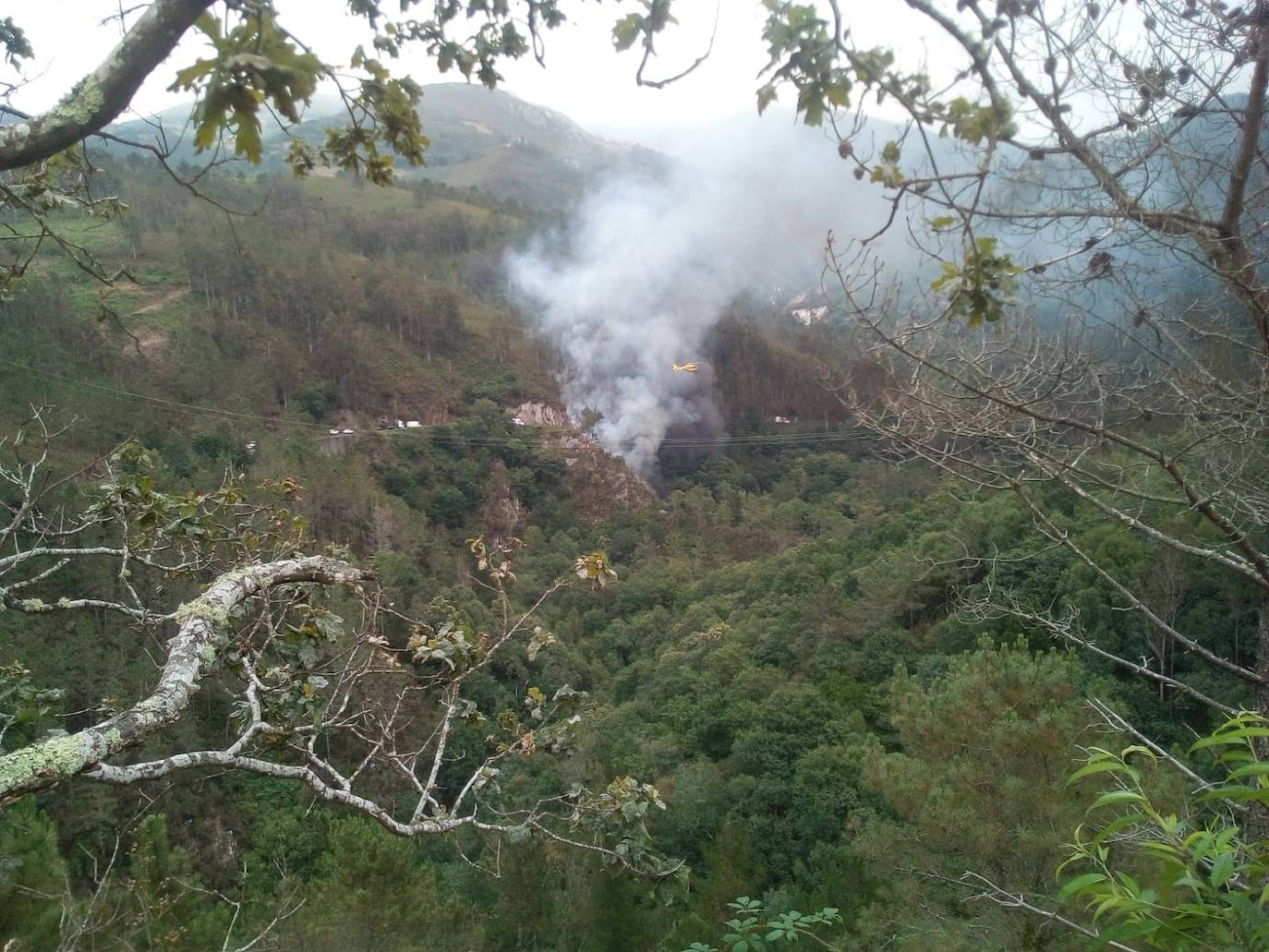 Fallece un vecino de Luarca que transportaba material para arreglar una carretera tras precipitarse con su camión por un desnivel de 25 metros en Villayón. Su camión comenzó a arder, provocando un pequeño incendio forestal.