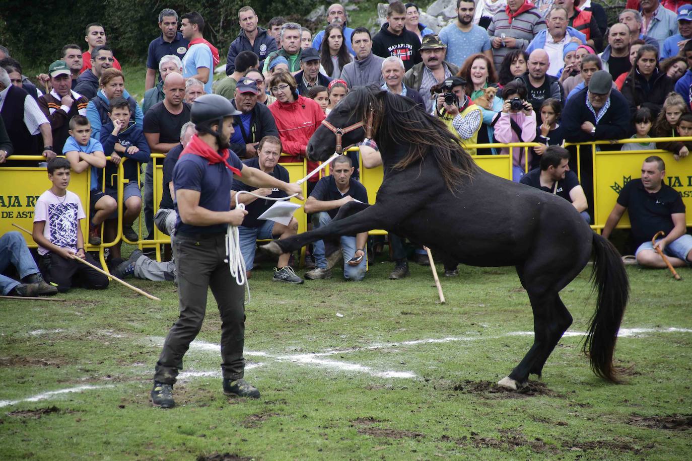 La popular fiesta del Asturcón, que se celebra todos los años en Piloña el tercer sábado de agosto, acaba de ser declarada festejo de Interés Turístico Nacional. De esta manera se convierte en la séptima celebración asturiana con esta distinción.