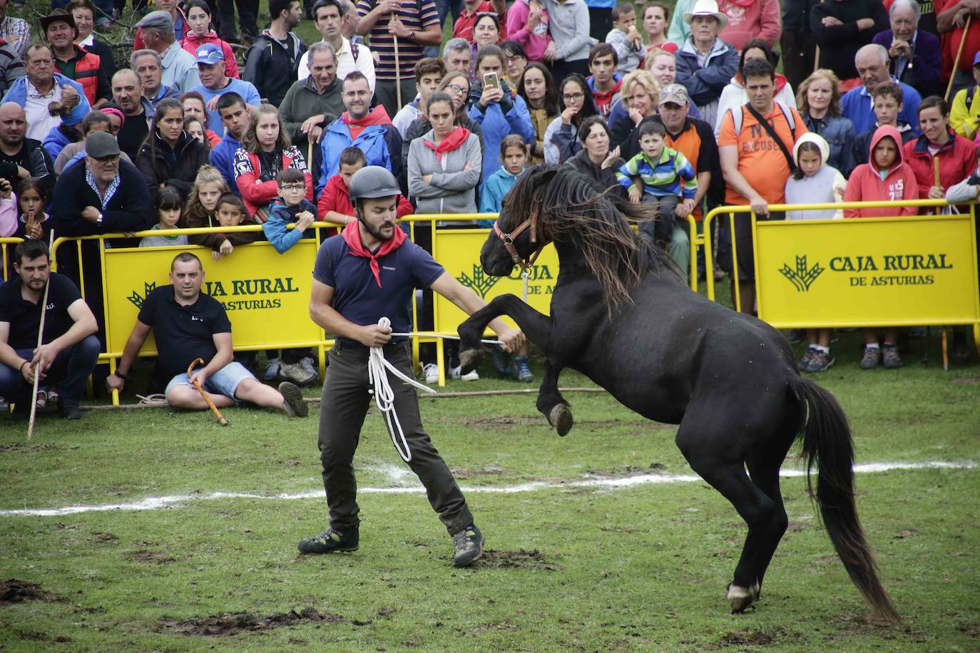 La popular fiesta del Asturcón, que se celebra todos los años en Piloña el tercer sábado de agosto, acaba de ser declarada festejo de Interés Turístico Nacional. De esta manera se convierte en la séptima celebración asturiana con esta distinción.