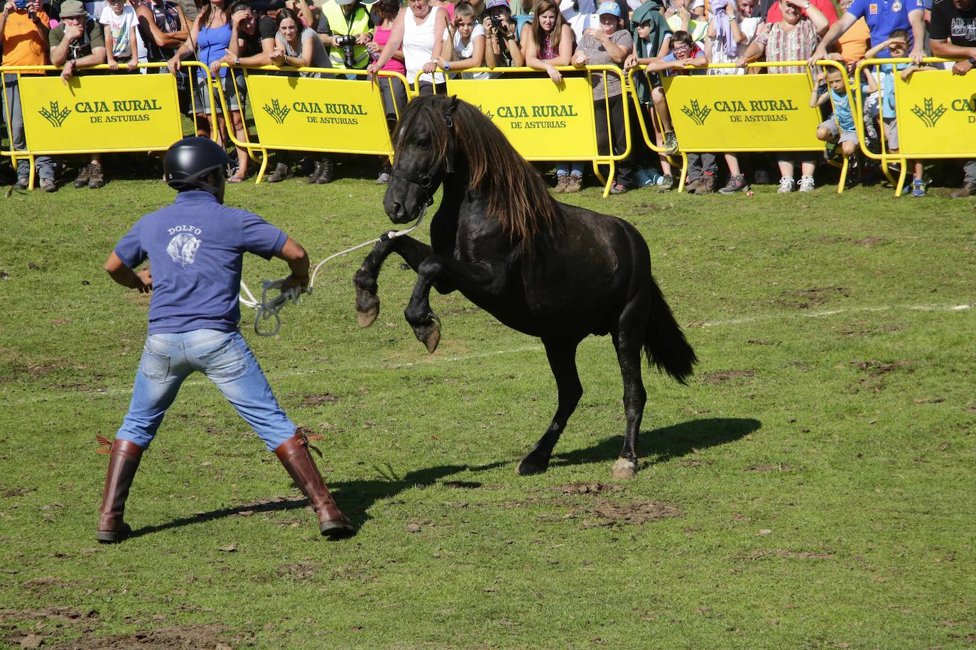 La popular fiesta del Asturcón, que se celebra todos los años en Piloña el tercer sábado de agosto, acaba de ser declarada festejo de Interés Turístico Nacional. De esta manera se convierte en la séptima celebración asturiana con esta distinción.