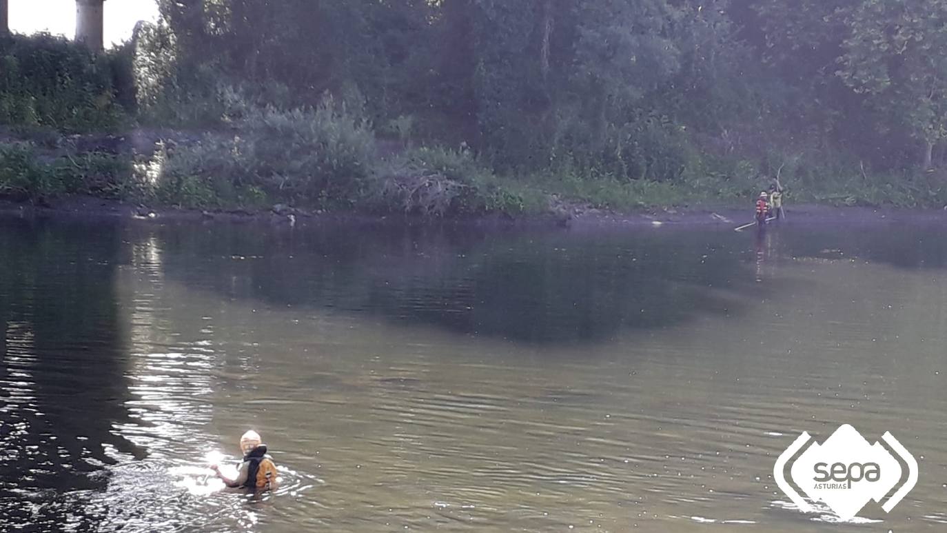 Carlos Antonio Rosario, de origen dominicano y residente en Avilés, estaba con otros cuatro amigos, que le vieron hundirse en el agua