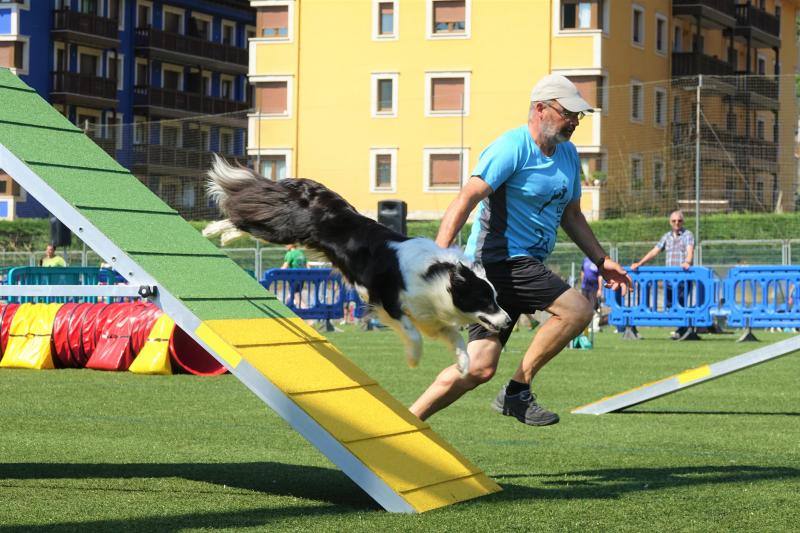Fotos: Cangas de Onís acoge a la élite canina