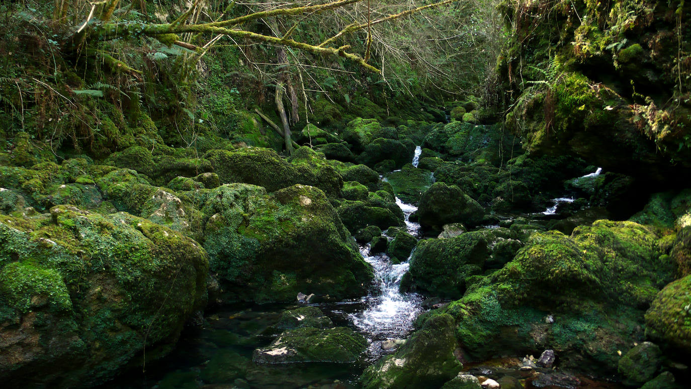 Fuente de Obaya (Sueve, Colunga)