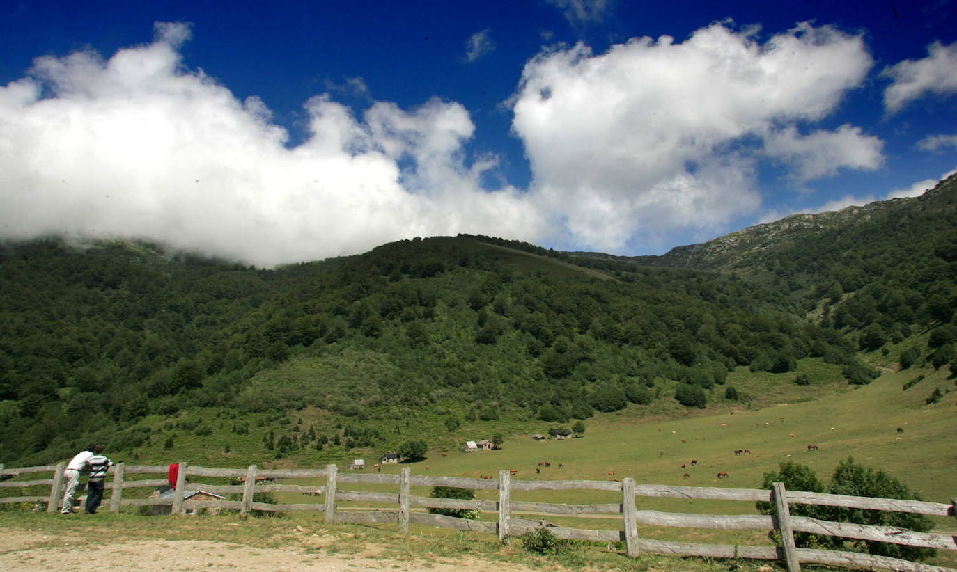 Brañagallones (Caso)