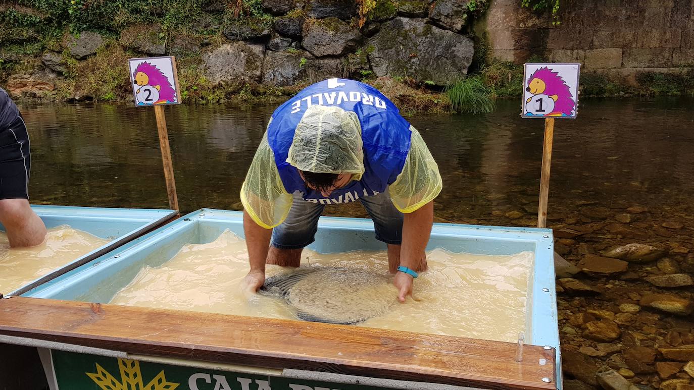 El Campeonato Nacional de Bateo de Oro de Navelgas ha superado el récord de inscripción con más de 200 participantes