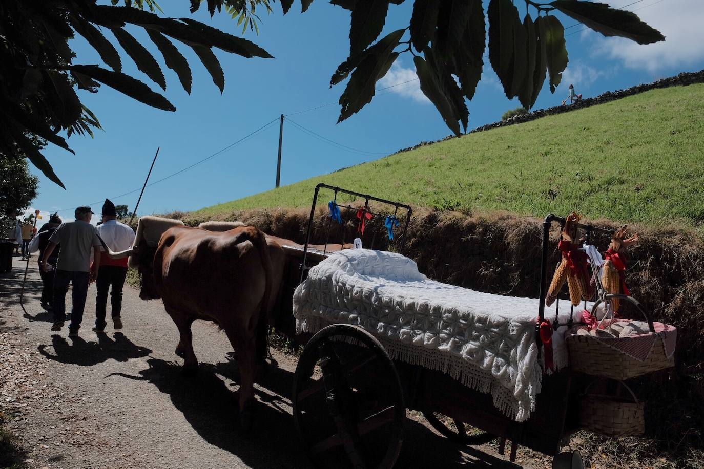 Un año más hubo boda vaqueira como manda la tradición