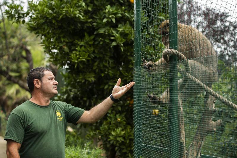 El zoológico El Bosque, situado en Oviedo, cuenta con 80 especies animales y más de 200 ejemplares con historias conmovedoras.