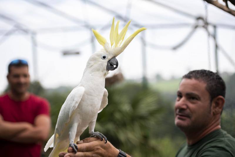 El zoológico El Bosque, situado en Oviedo, cuenta con 80 especies animales y más de 200 ejemplares con historias conmovedoras.