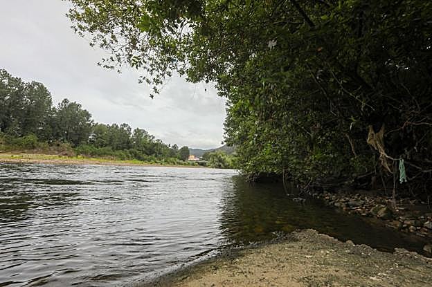 Zona del río Nalón en la que apareció el cuerpo del trabajador de Tragsa. 