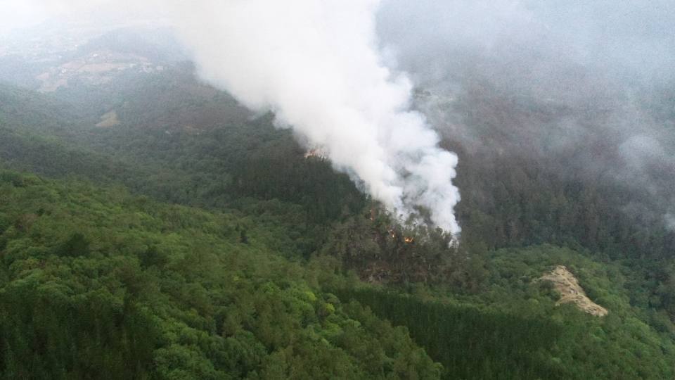 Las llamas continúan calcinando el pinar de Pendia, en Boal. El fuego se inició ayer a las 15.40 horas.