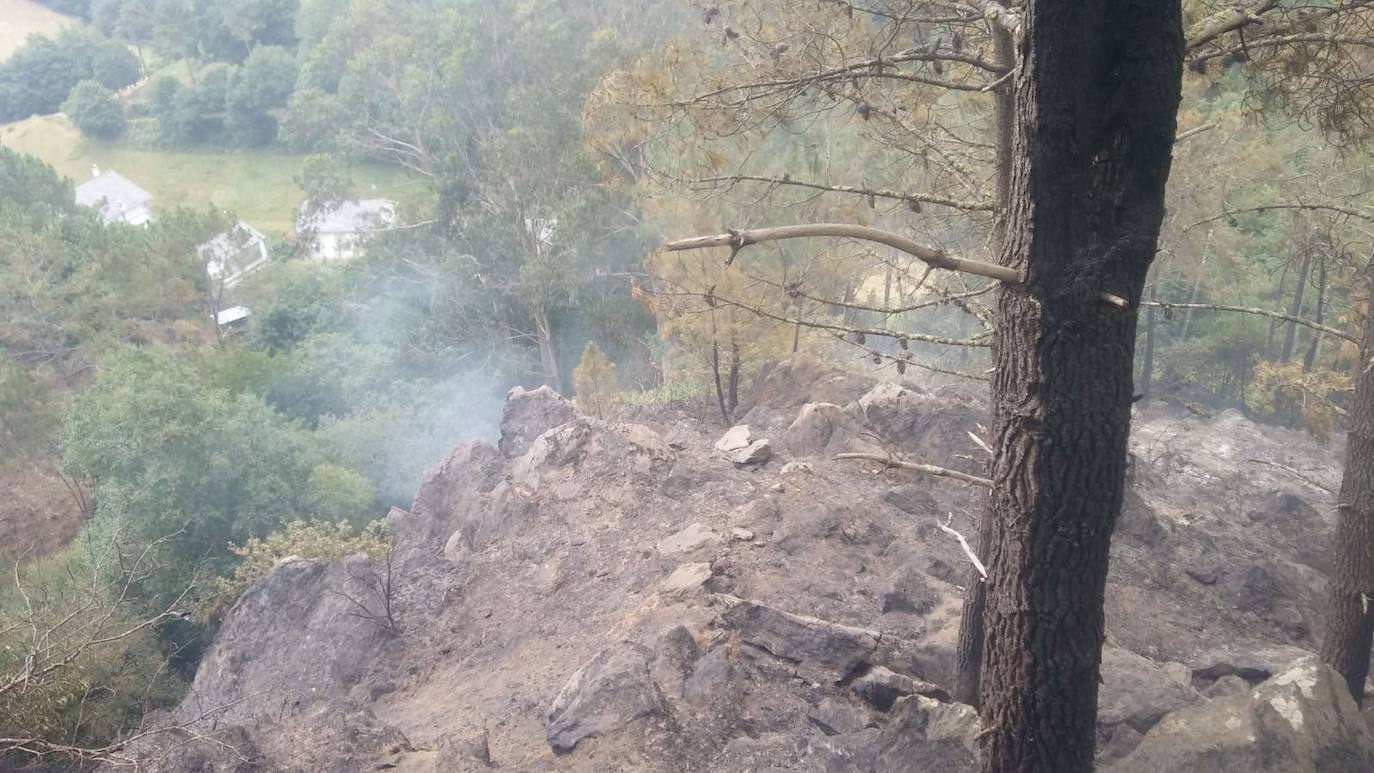 Las llamas continúan calcinando el pinar de Pendia, en Boal. El fuego se inició ayer a las 15.40 horas.