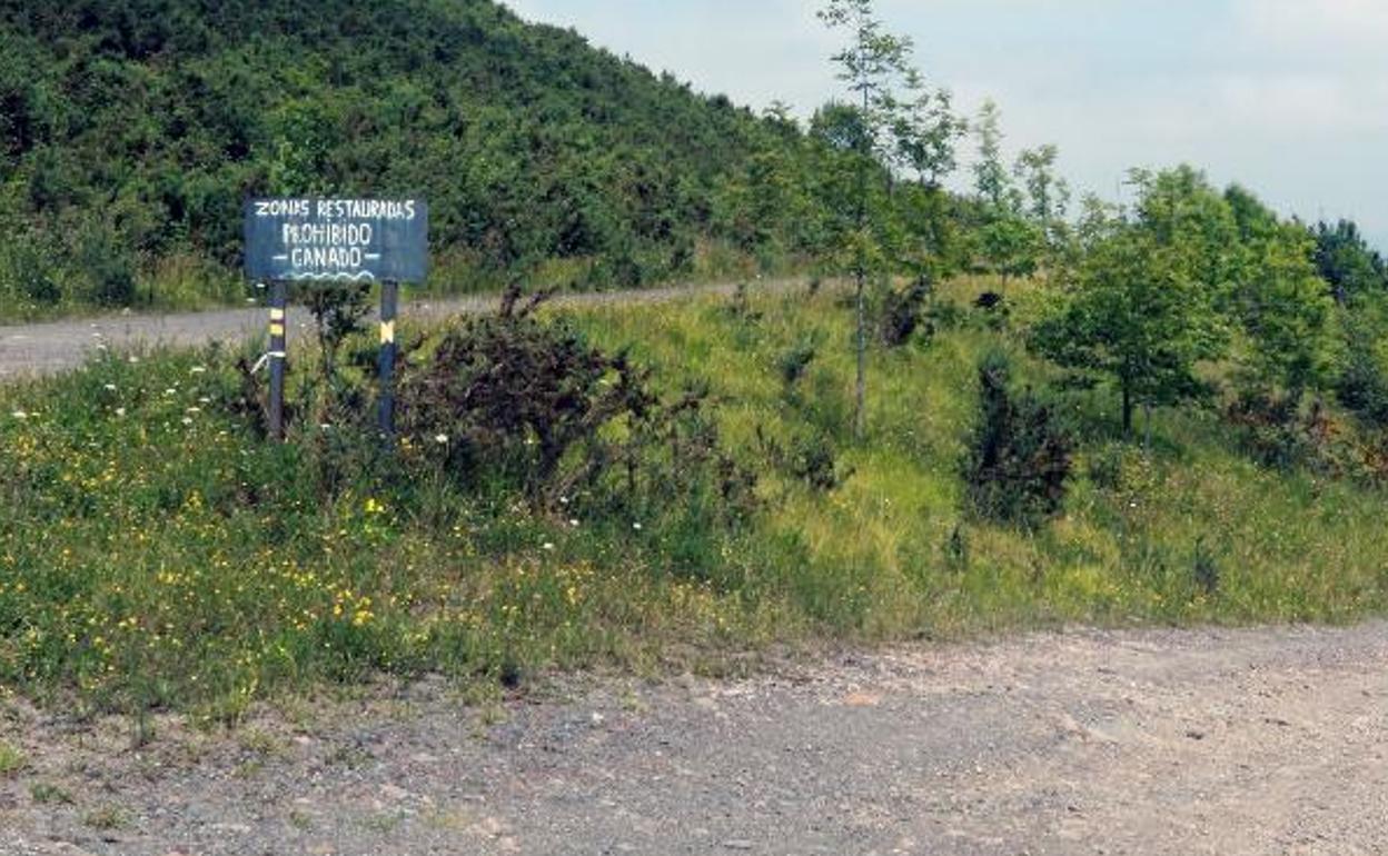 Zona de acceso a la explotación de La Matona. 