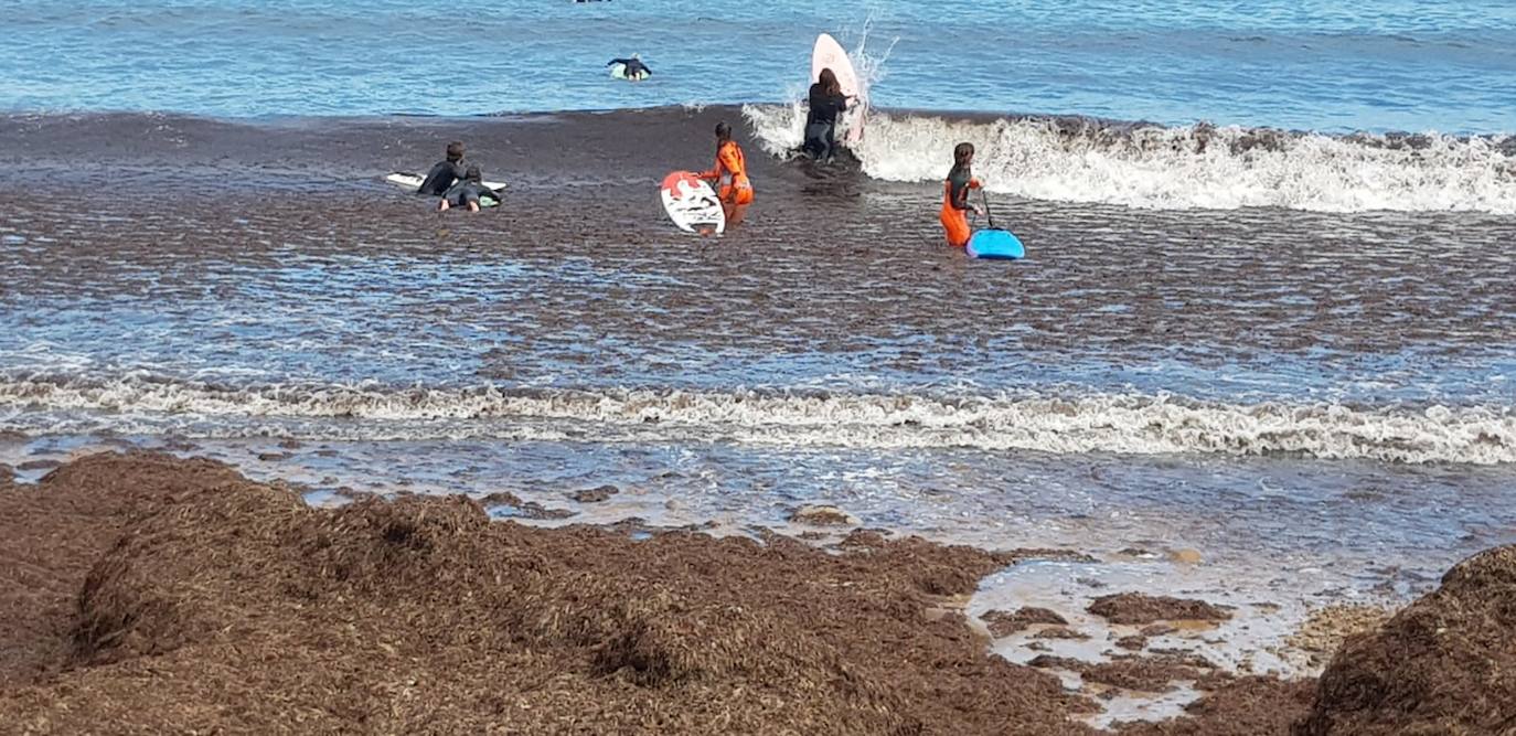 Playa España. Los surfistas comparten olas con las algas .