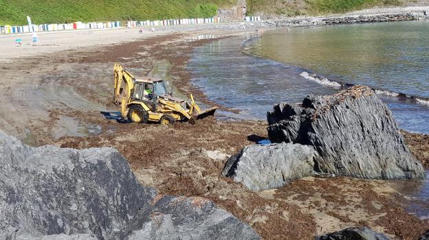 La pala municipal arrastra las algas hacia un lateral de la playa en la zona rocosa en Luarca