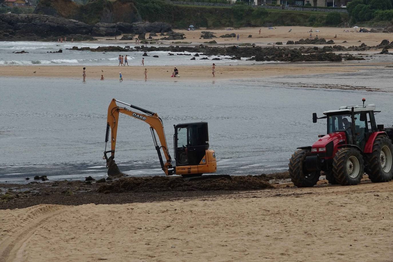 La Isla. Las máquinas retiran más de 300 toneladas de ocle que se había acumulado en la orilla del arenal de Colunga.