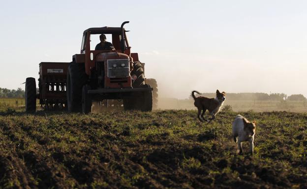 Un tractor, en una plantación en Argentina.